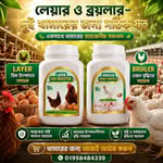 Layer Booster Plus