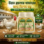 Broiler Booster Plus